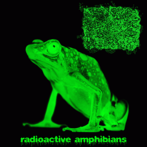 Anaxyrus Cognatus : Radioactive Amphibians
